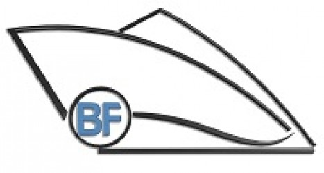 B F International Limited